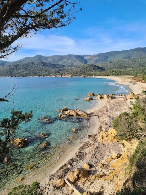 Mini 69 - Piscine Chauffee Serra-di-Ferro (Corsica)
