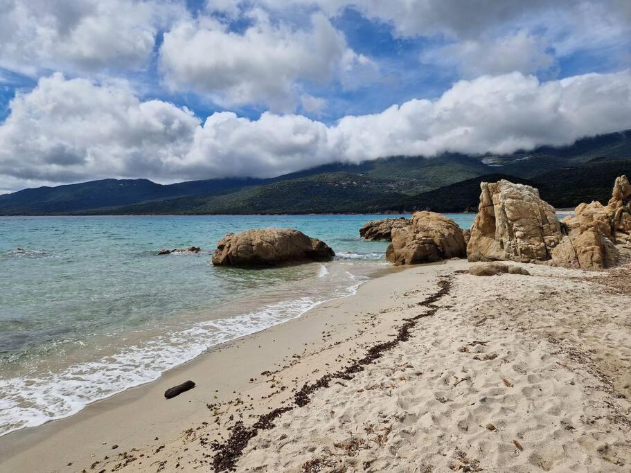 Ferienhaus Mini 69 - Piscine Chauffee Serra-di-Ferro (Corsica)